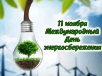 11 ноября- Международный  день энергосбережения