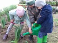 2 младшая группа участвовала в посадке растений к 75-летию освобождения Алушты от фашизма