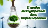 11 ноября- Международный  день энергосбережения