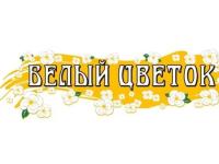 Благотворительная акция "Белый цветок"